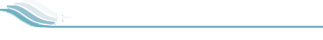 Diamond Logo